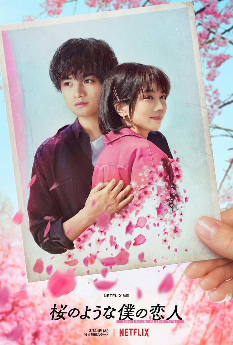 2022日本电影《我的樱花恋人》